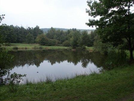 Losheim Walhoelzbach