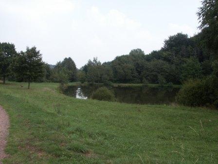 Losheim Walhoelzbach