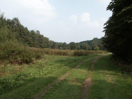 Losheim Walhoelzbach
