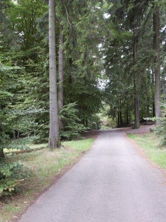Losheim Walhoelzbach