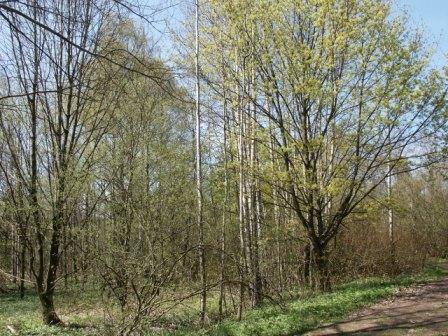 Park Schoenwies Waldhoelzbach